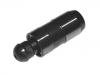 толкатель клапана Valve Tappet:272 050 0380