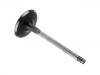 выпускной клапан Exhaust Valve:074 109 611