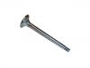 Valvula de escape Exhaust Valve:048 109 611 B