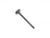 выпускной клапан Exhaust Valve:036 109 611 L