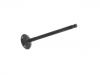 Exhaust Valve:13202-53F00