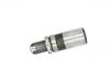 气门挺柱 Valve Tappet:13750-0P020